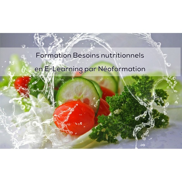 besoins nutritionnels formation en ELearning Linden Formation